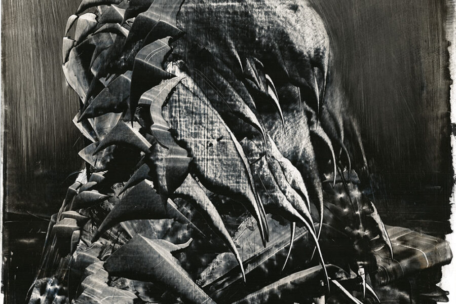 Wystawa malarstwa Macieja Durskiego